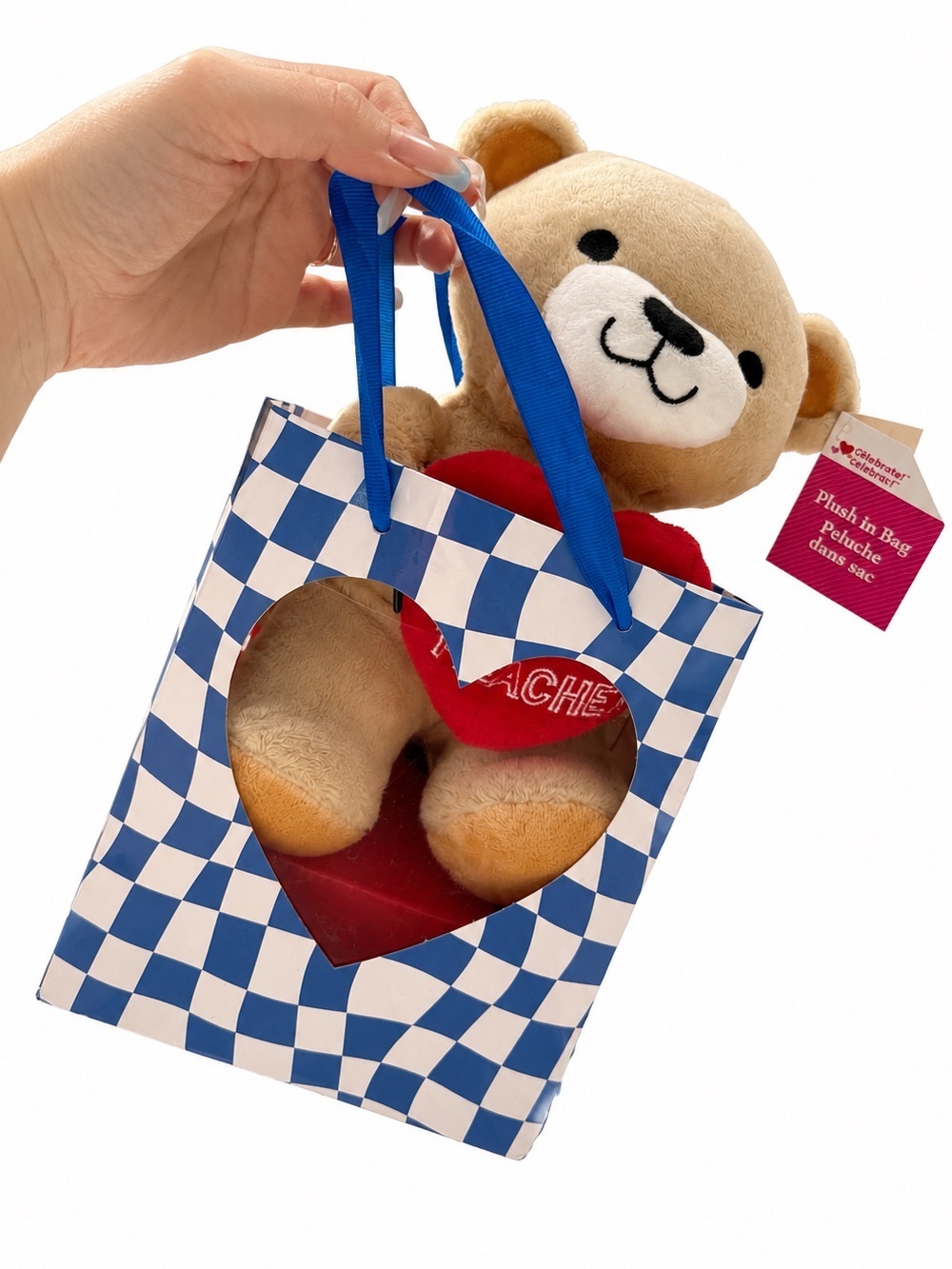🧸 2/$45 NWT Daycare / School Year Teacher Gift Plush Bear Gift Bag